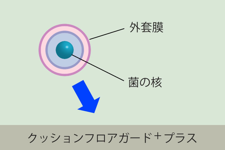 抗菌のメカニズムイラスト。付着した細菌や真菌の外套膜を破壊