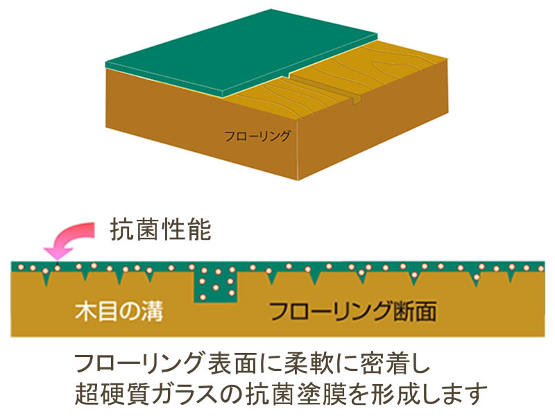 エバーグラスコート+プラスの表面のイメージイラスト