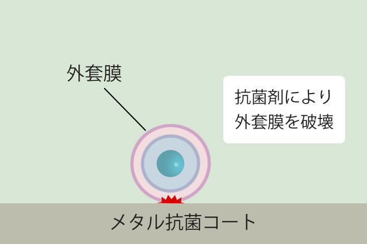 抗菌のメカニズムイラスト。付着した細菌や真菌の外套膜を破壊