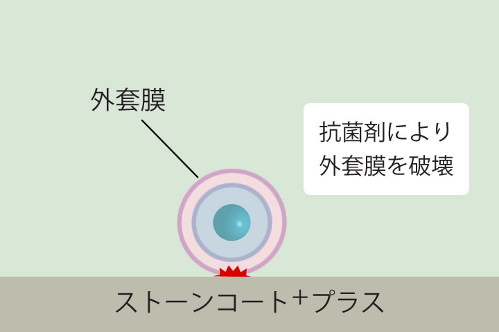 抗菌のメカニズムイラスト。付着した細菌や真菌の外套膜を破壊